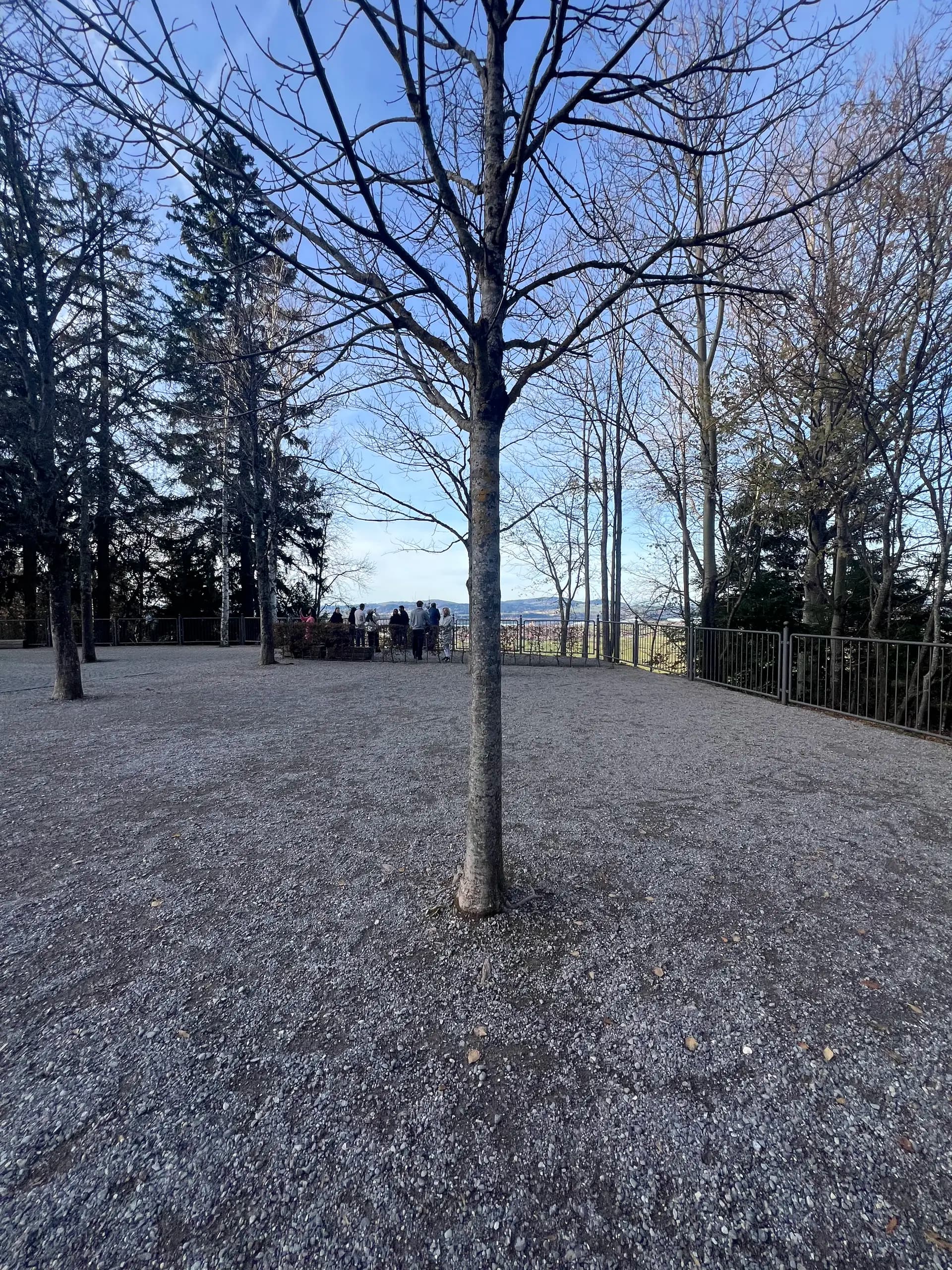 Neuschwanstein Castle Scenery